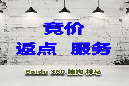 SEM竞价培训：实战案例解析与优化